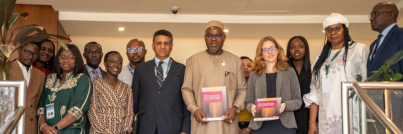 AFFORD Diaspora Direct Investment (DDI) Index- The Gambia