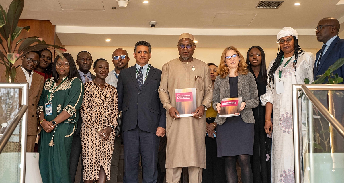 AFFORD Diaspora Direct Investment (DDI) Index- The Gambia