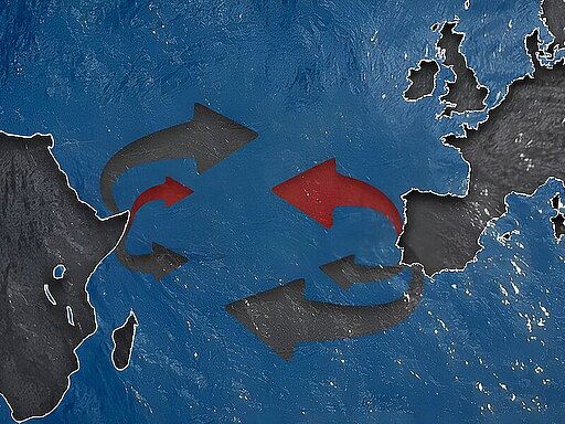 EU-Africa Cooperation on Migration